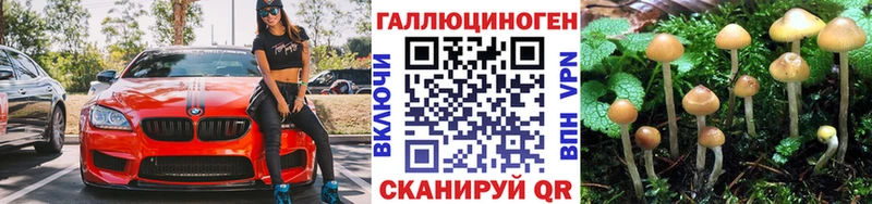 Купить  Лениногорск  Галлюциногенные грибы Magic Shrooms 